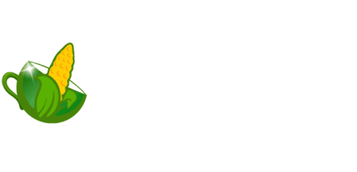 ngoche.com